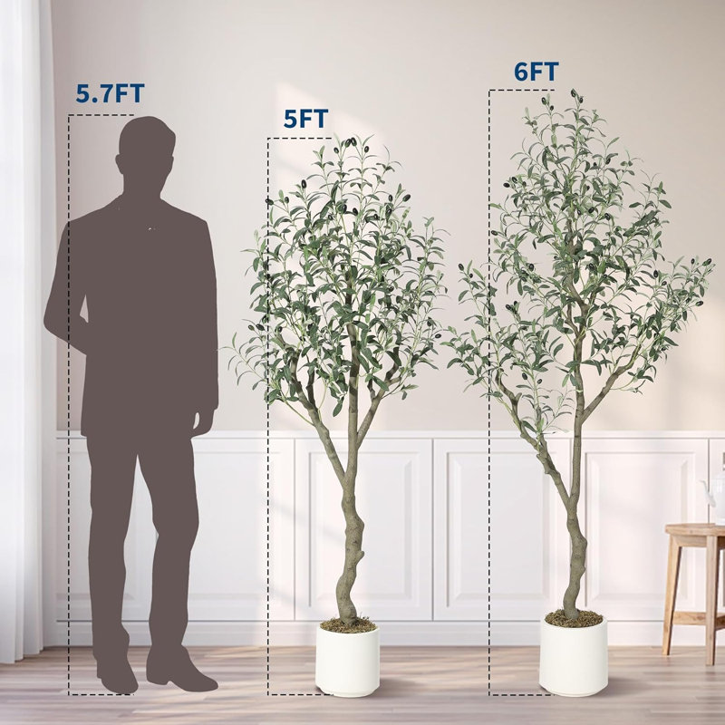 152cm Plant