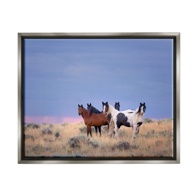 «Country Horses In Meadow», reproduction encadrée sur toile par PHBurchett, H 17 po x l 21 po x P 1,7 po