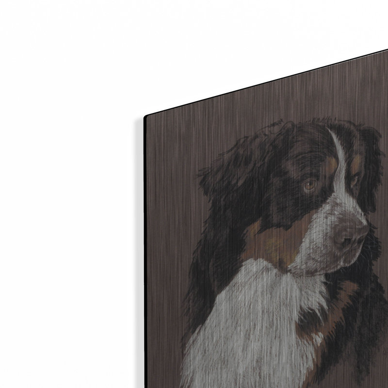 «Bernese Mt. Dog» par Barbara Keith, H 16 po x l 12 po