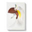 Bird of Paradise Illustration by John Edward Gray - Wrapped Canvas-55371337