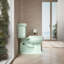 Lustra with Quick-Release Hinges Toilet Seat-321898819-342726763