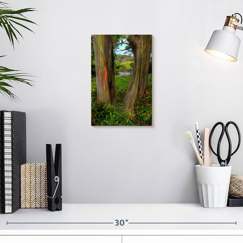 Harnek Roadside Rainbow Eucalyptus, 12" H x 8" W