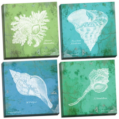 " Elegant Retro Shells " by Gwendolyn Babbitt 4 - Pieces