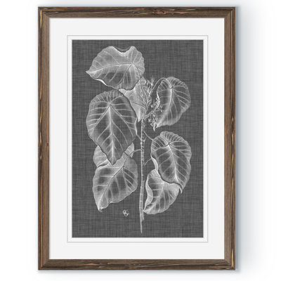 « graphique feuillage iv » par paul cezanne-impression sur cadre photo