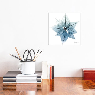 Iced Poinsettia I by Albert Koetsier - Wrapped Canvas Print