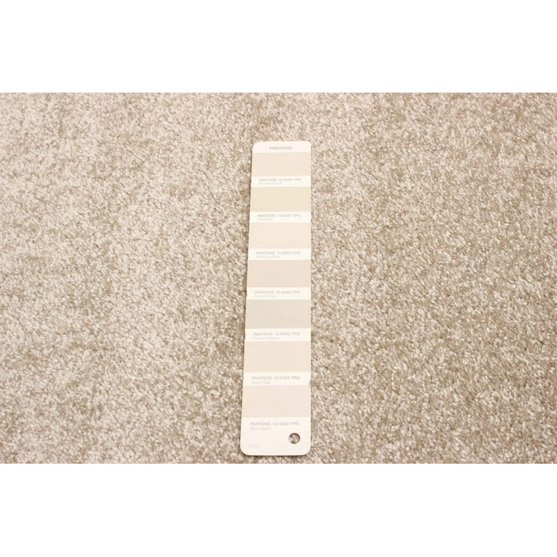 Tapis abstrait ivoire / vert Jurgita, Rectangle 3 pi 11 po x 5 pi 7 po