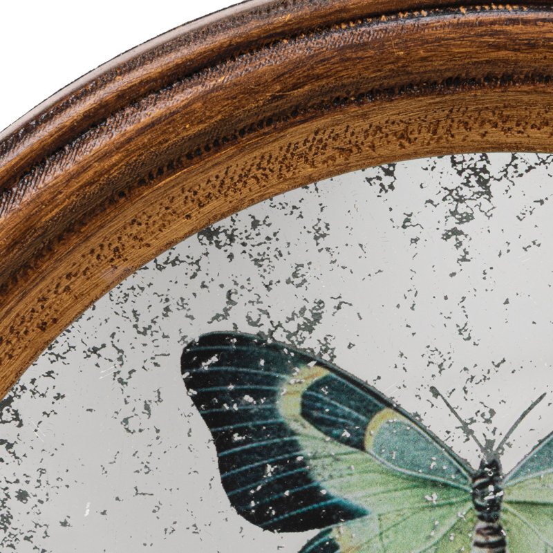 Framed Antique Wall Decor With Butterflies