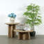 Lucca End Table