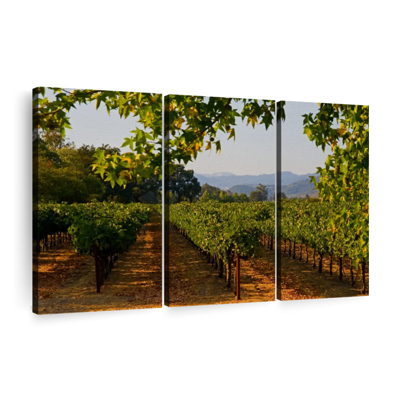 " Napa Vineyard Sunset ", 36" H x 57" W x 1.25" D