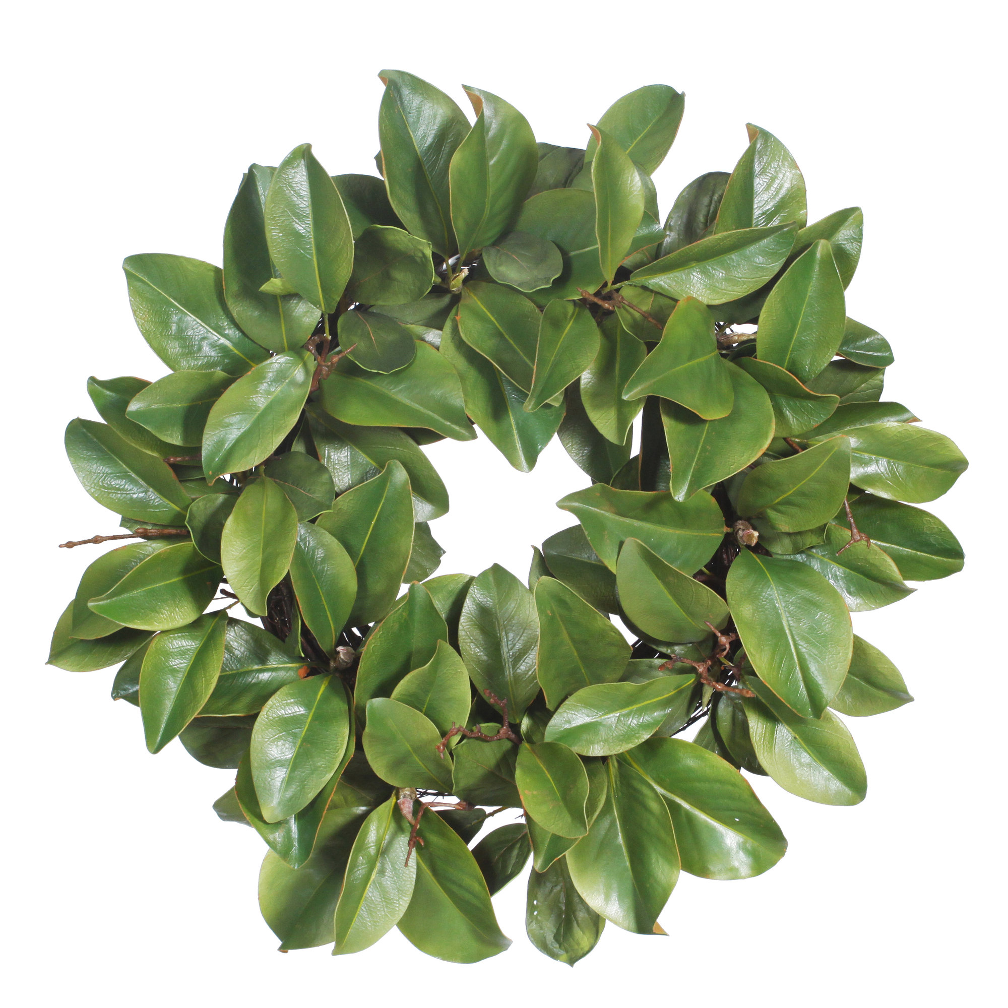 Billy-George Faux Magnolia Polyester Wreath, 24" H x 24" W x 7" D