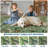 Botanical Flora Machine Washable Rug Low Pile Throw Carpet Non Slip Non Shedding Floor Cover Stain Resistant Folding Carpet For Home Decor-1884151302