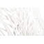 Butterfly Wall Décor-60785038