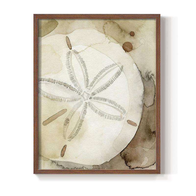 Dry Sand Dollar I, reproduction encadrée - bois massif, H 10 po x l 8 po, Brun