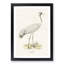 Common Crane by Von Wright - Picture Frame Painting Print-55686134-55686135