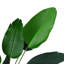Tall Artificial Banana Leaf Tree Faux Large Plants in Pot-700878112