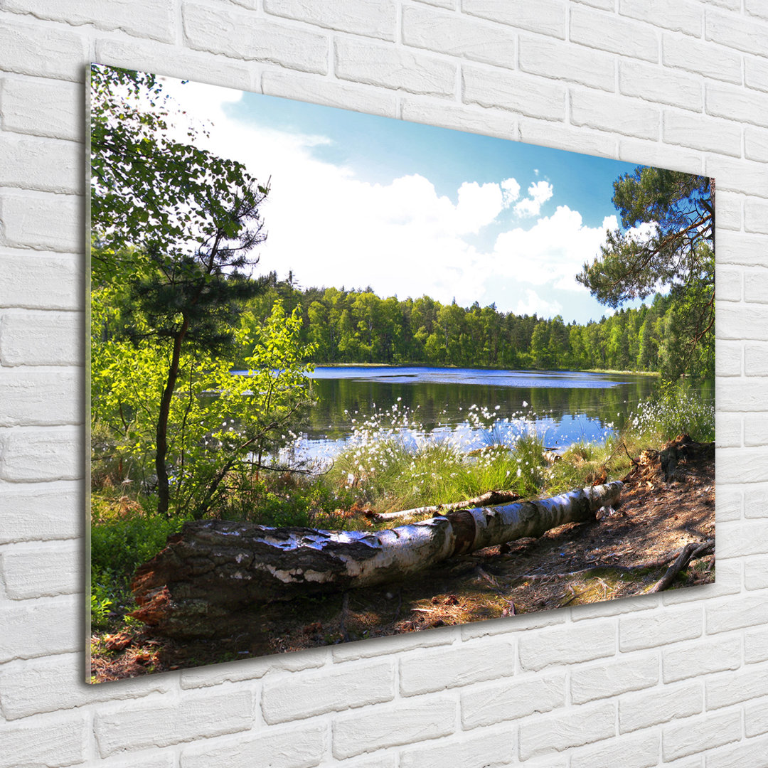 Glasbild Waldpanorama