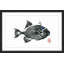Andrew Clay - Single Picture Frame Print-20604517