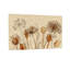 Plantes et fleurs fleurs séchées sur fond beige-876510878-876510880-876510883