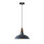 Carror 1 - Light Pendant-1643831988