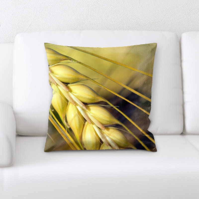 Coussin décoratif Remus