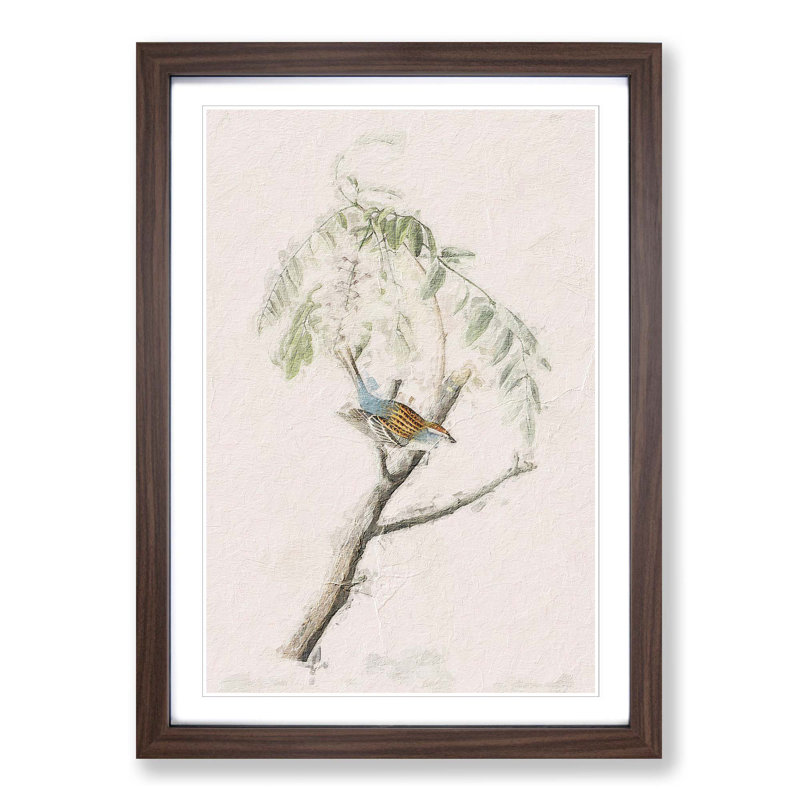 Chipping Sparrow Bird by John Audubon - Picture Frame Painting Print, Walnut Framed, 36cm H x 27cm W x 2cm D