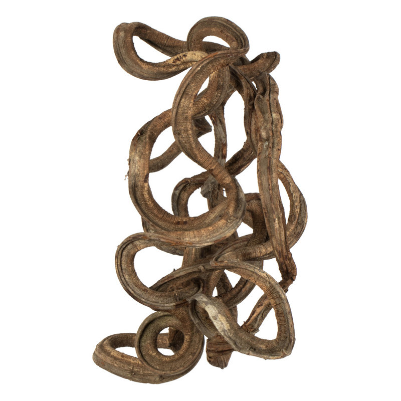 13 po Vigne enroulée, séchée, Naturel