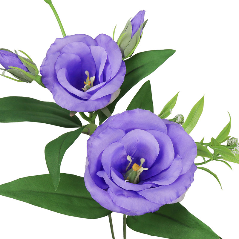 Lisianthus artificiel, Mauve