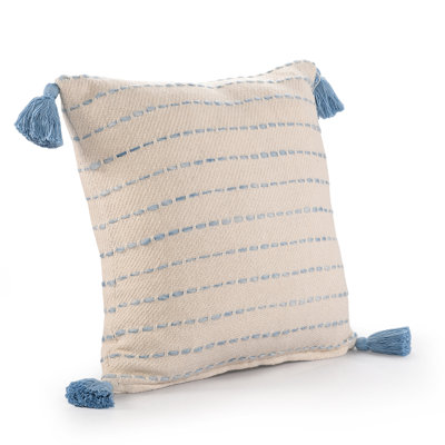 Hainsly 20" x 20" Pillow Cover