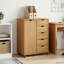 Solid Wood Rectangle Accent Cabinet-1594368524