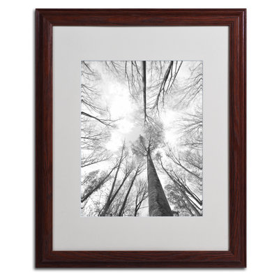 Philippe Sainte-Laudy - Single Picture Frame Photograph on Canvas