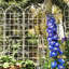 Paquet de 2, treillis de jardin en métal antirouille de 19,7 po pour plantes grimpantes-115361872-115361874