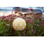 Lanterne solaire 12 po Stella-108587240