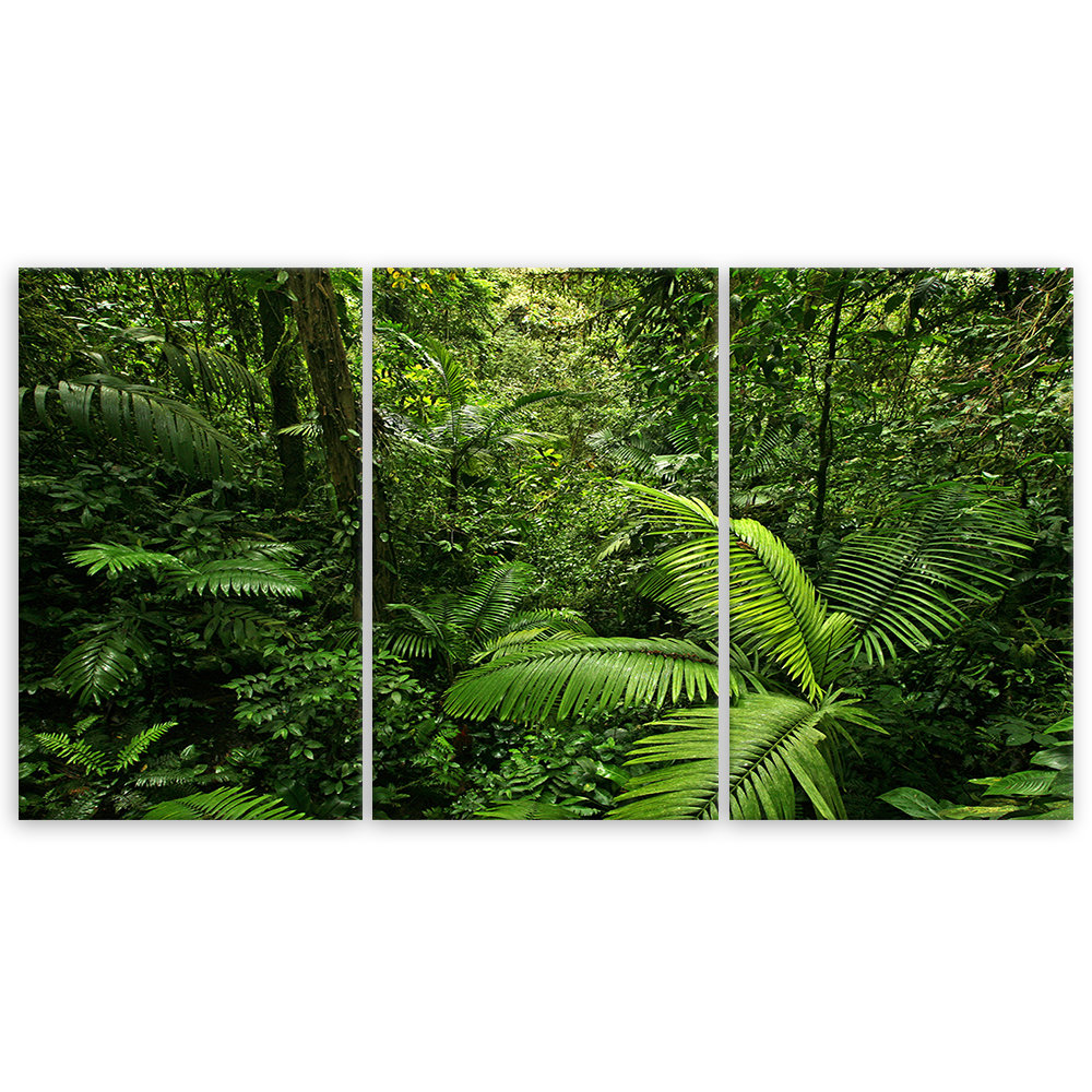 Leinwandbild Green Forest Leaves