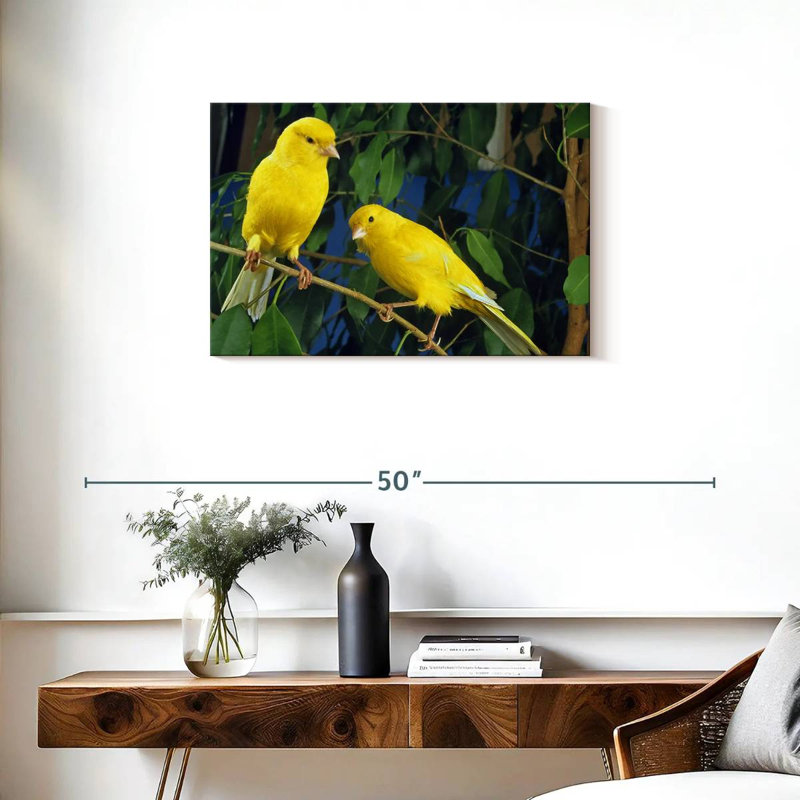 Canari Brampt, H 20 po x l 30 po
