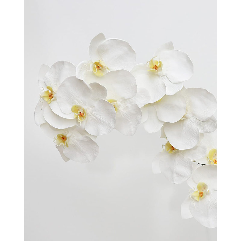 Green Phalaenopsis Orchid 33", White, 34" H x 3" W