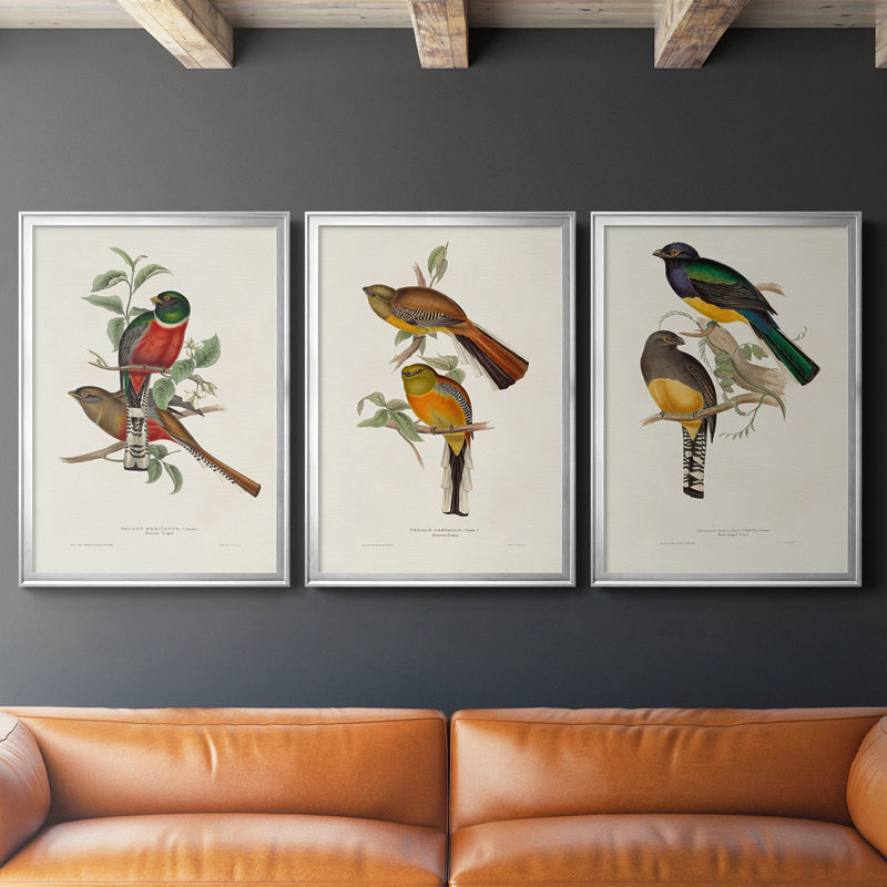 Toile encadrée de qualité supérieure Elegant Trogons I - prête à être accrochée, Cadre argenté