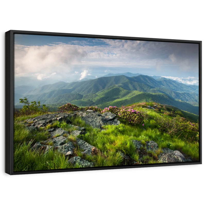 Nature "Art mural majestueux Blue Ridge Mountains", H 27 po x l 40 po