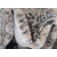 Tapis oriental Carolina-40277347