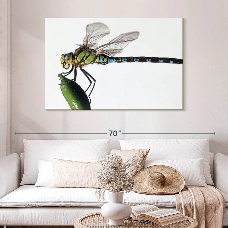 Green Darner Dragonfly, H 32 po x l 48 po