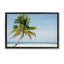 Cadre flottant Barrier Reef Island Palm, design par Danita Delimont-1450357894-1450357895