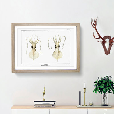 Love Heart Squid by Carl Chun - Picture Frame Painting Print