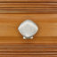 Grand bouton coquillage-104673475-126755986-39948804