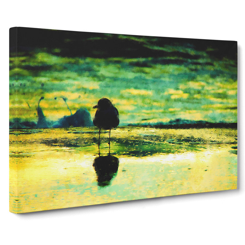 Seagull upon the Beach - Wrapped Canvas, 35cm H x 50cm W x 3cm D
