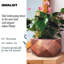 Reinforced Stone Bowl Planter, Faceted Shallow Planter, Bonsai Pot-1661337761-1661337766