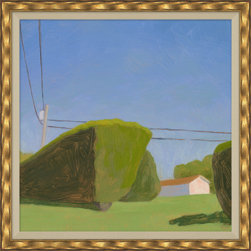 Shrubbery with Power Lines