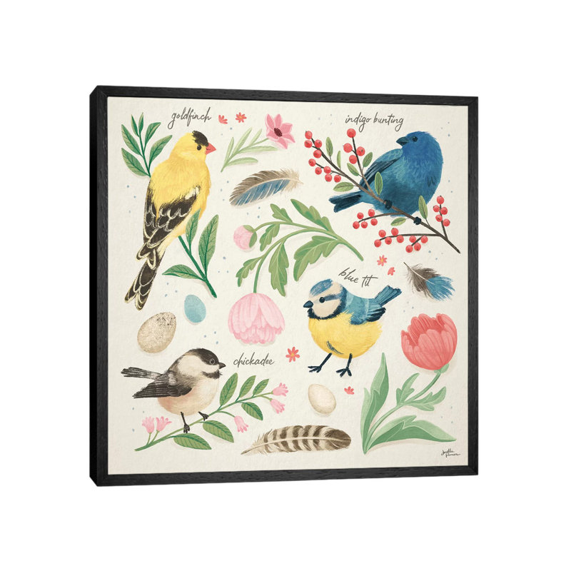 Bird Study II by Janelle Penner - Print on Canvas, Black Framed, 93.98cm H x 93.98cm W x 3.81cm D