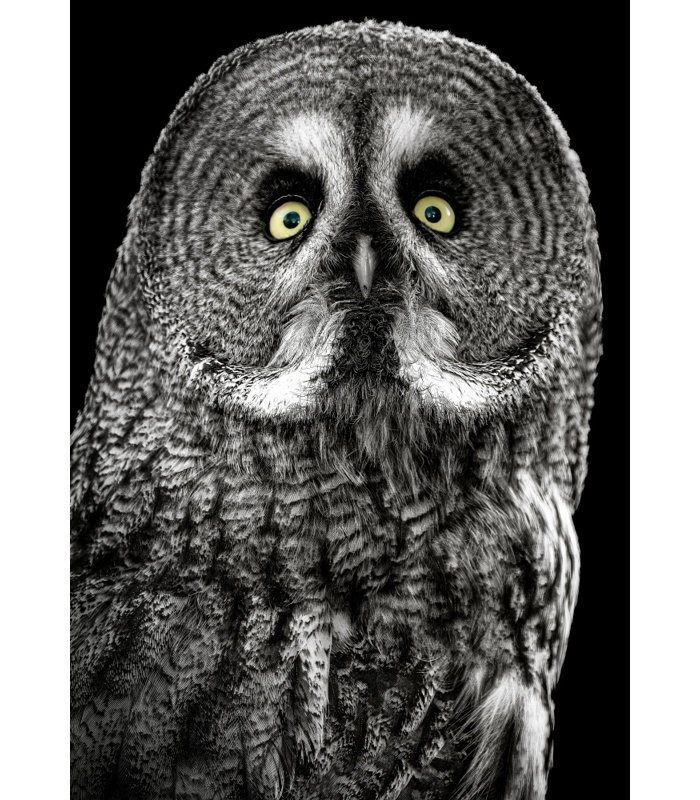 Wrapped Canvas Print, 76.2 cm H x 50.8 cm W