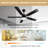 Ceiling Fan with LED Lights-337638972