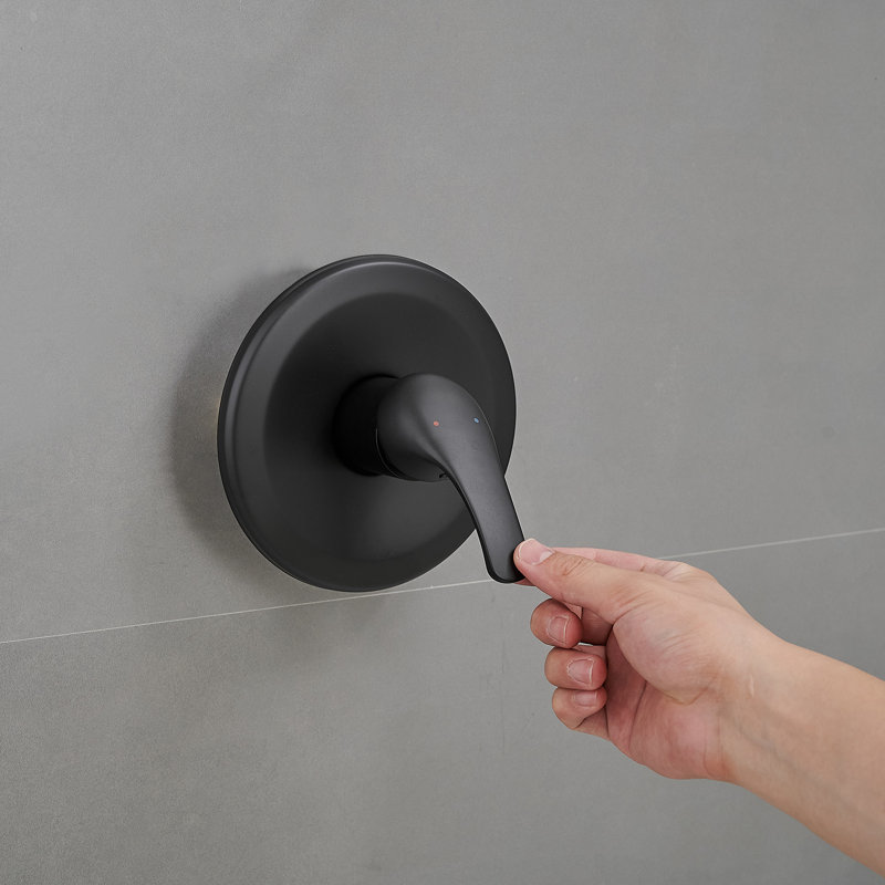 Matte Black Dual Function Rain Shower Faucet Combo Set