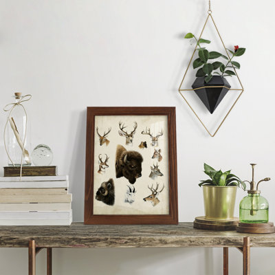 Western Animal Species I, reproduction encadrée sur papier